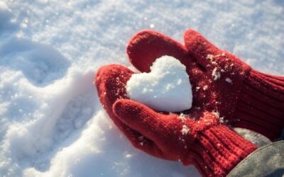 Freiwillig im Gefrierfach